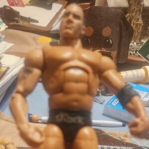 The Rock Wwe Action Figure